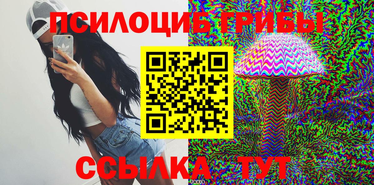 Псилоцибиновые грибы Psilocybe Нефтекамск
