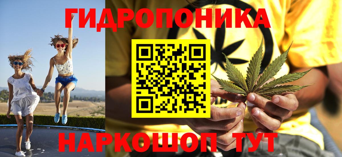 Канабис Amnesia  Вход с VPN  Каннабис планчик  Конопля Bruce Banner  Нефтекамск 